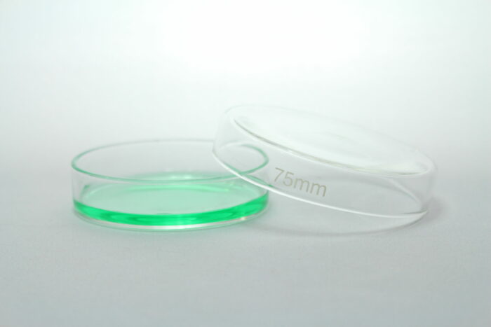 Petri Dish With Lid, Borosilicate Glass, Including One 100 mm & One 75 mm, Set of 2