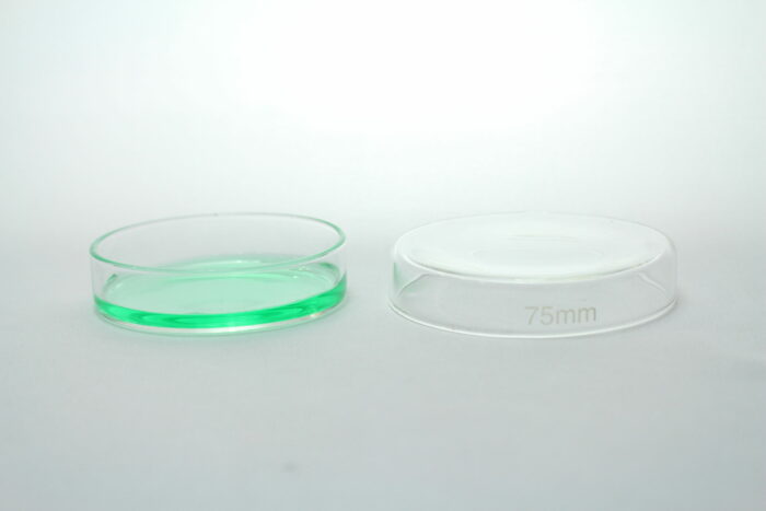 Petri Dish, Borosilicate Glass, 75 mm
