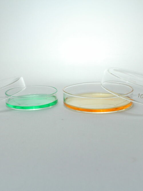 Petri Dish, Borosilicate Glass, 100 mm