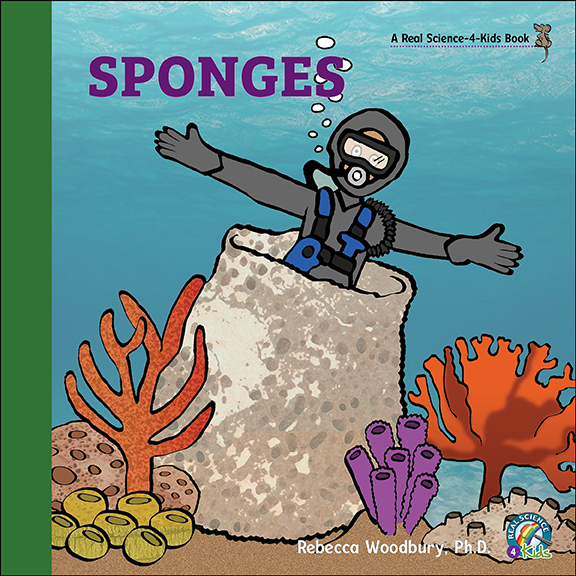 How does sponges move? How does sponges move?