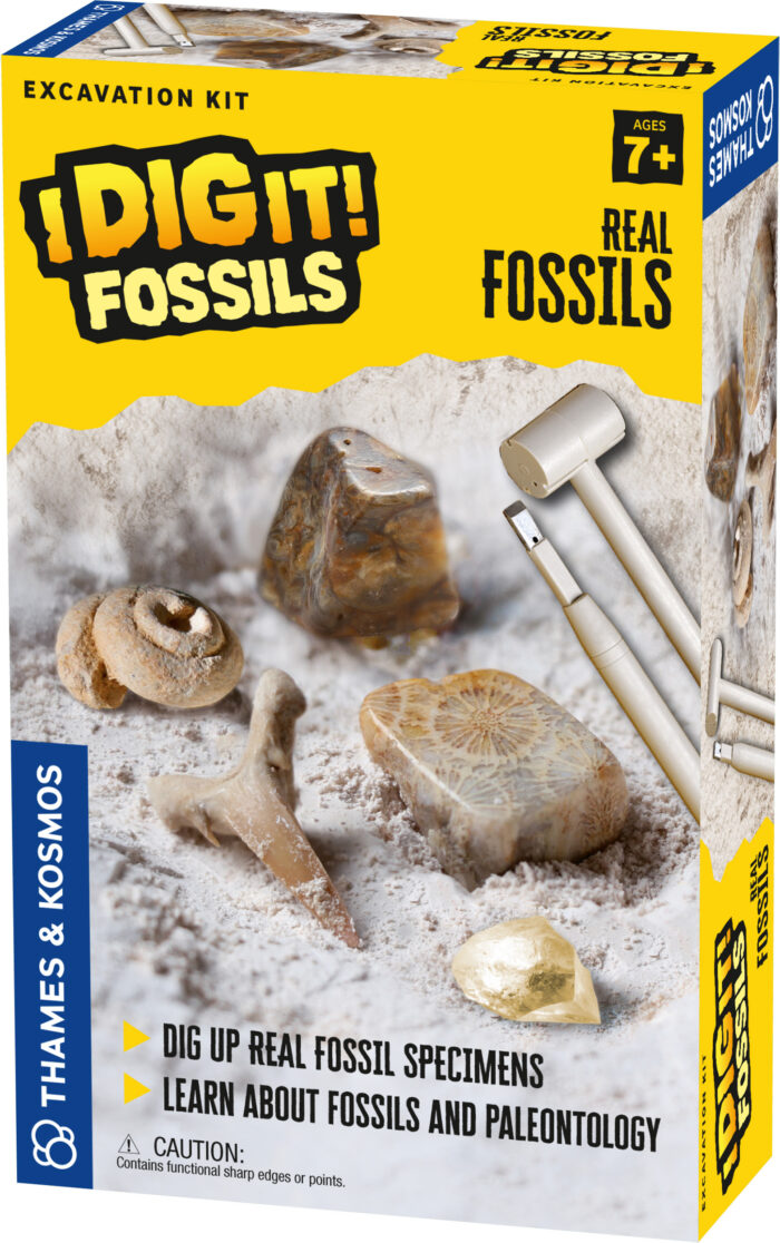 Thames & Kosmos – I Dig It! Fossils – Real Fossils Excavation Kit