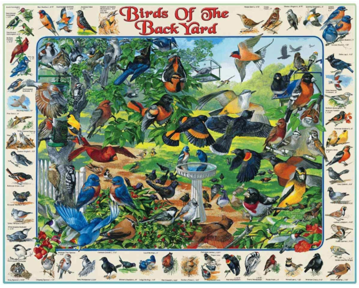 White Mountain Puzzles, Birds of The Back Yard, 1000 PCs Jigsaw Puzzle