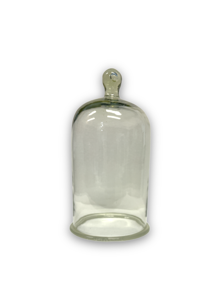 Clear Glass knob Top Bell Jar, 150×250 mm